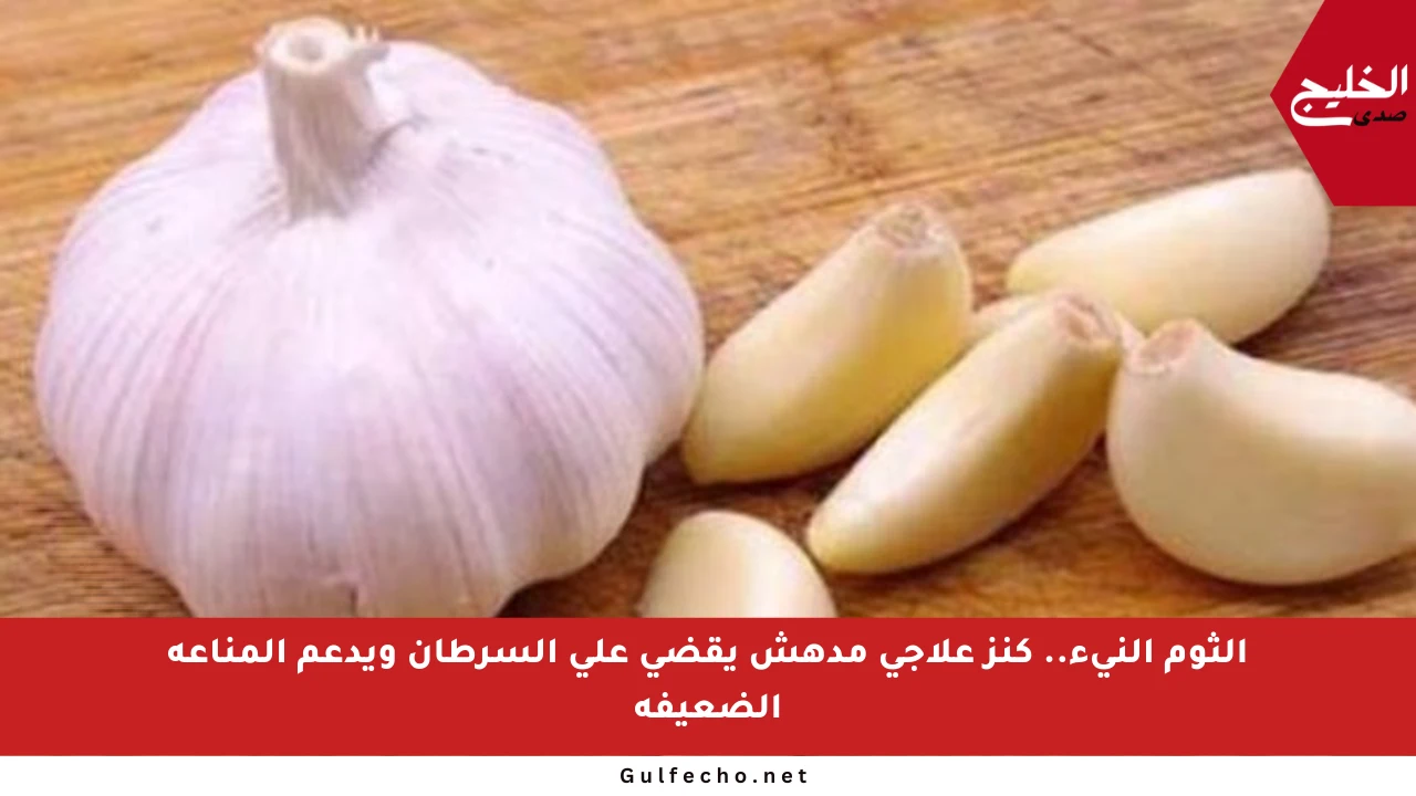 الثوم النيء.. كنز علاجي مدهش يقضي على السرطان ويدعم المناعة الضعيفة